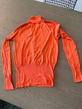 NWT Rachel Comey silk turtleneck-sz L $475 got at a RC sample sale small snag